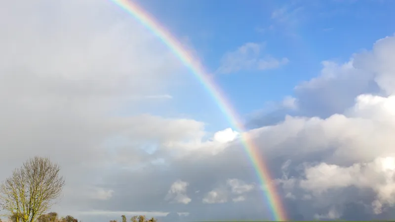 Campagne - Auvers-sur-Oise - &Icirc;le-de-France
