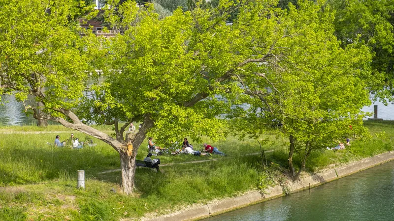 D&eacute;tente &agrave; Joinville-le-Pont / Val-de-Marne
