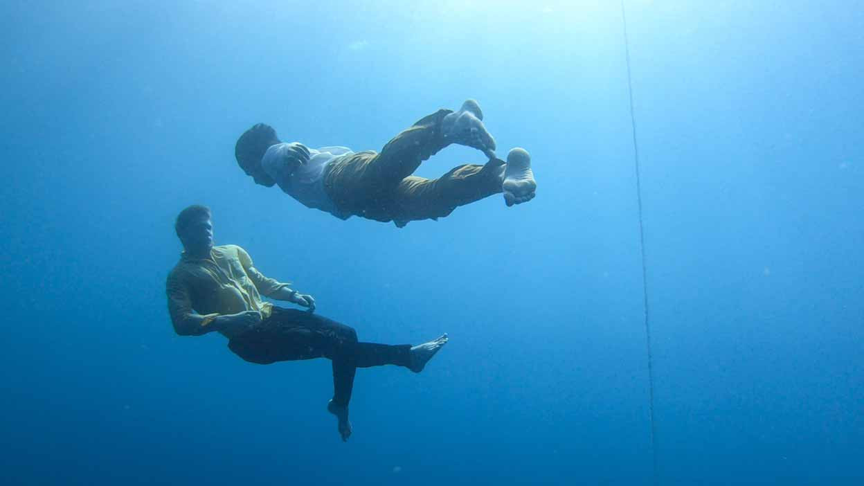 &copy; DR - La Ferme du Buisson, &agrave; Noisiel, accueille, les 21 et 22 mars, un spectacle insolite qui verra deux artistes &eacute;voluer dans un aquarium.