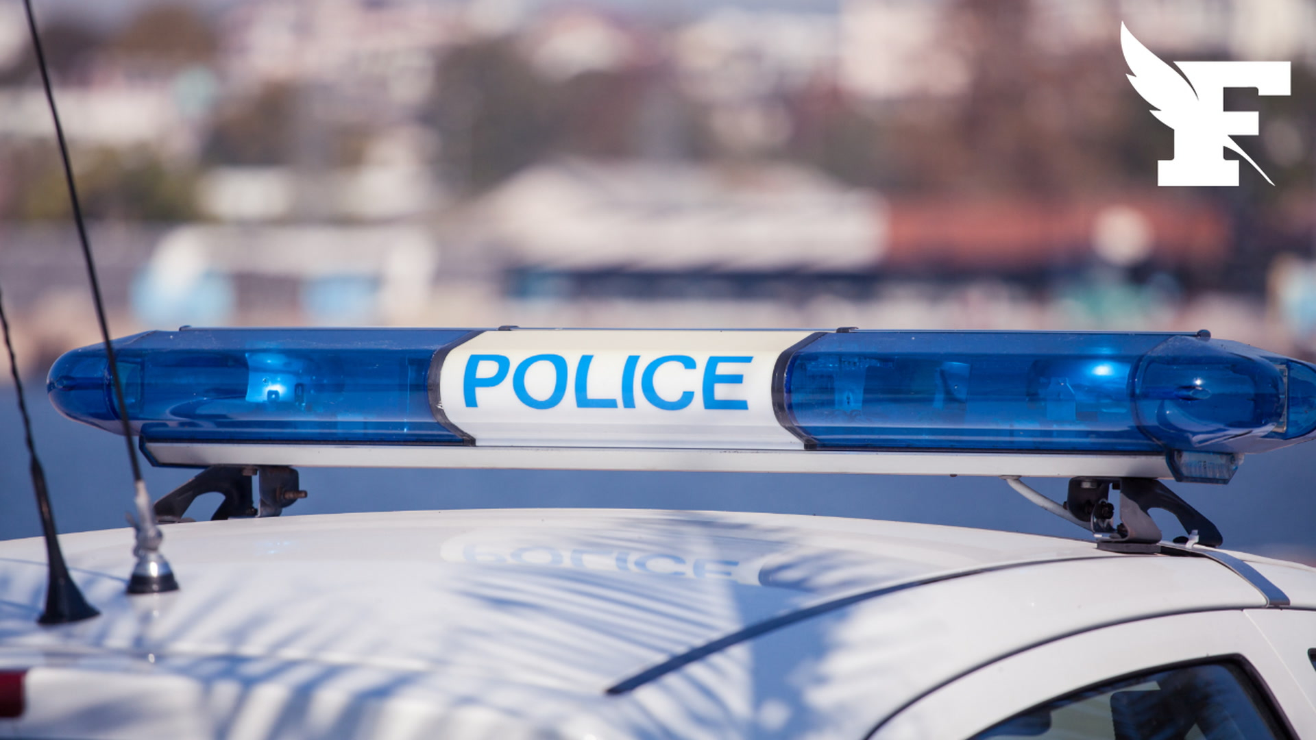 , Un chef de la police municipale de Paris arrêté pour outrage lors d’un festival de métal