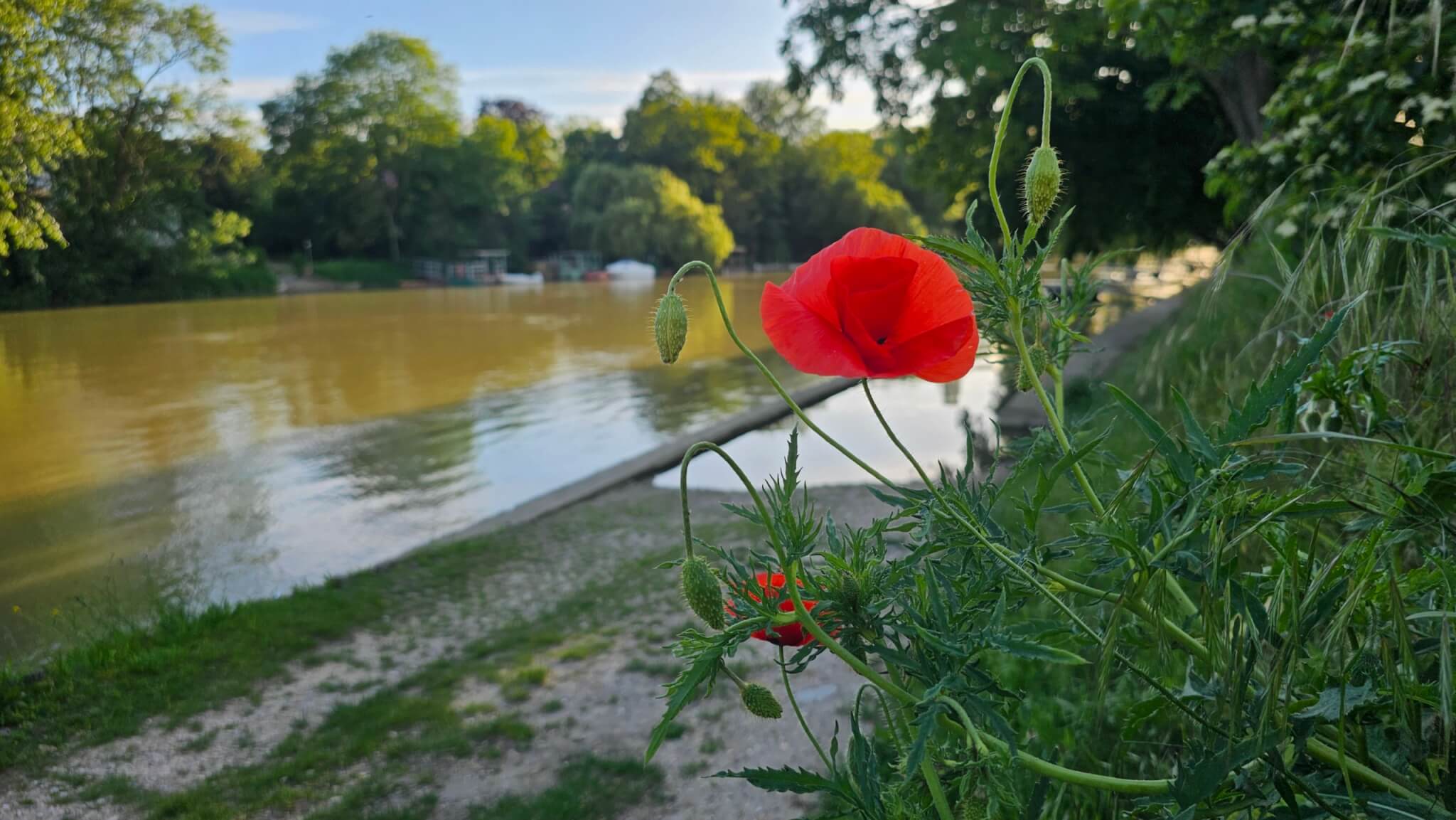 , D&eacute;gustations, conf&eacute;rences, ateliers, spectacles&hellip; croisi&egrave;res th&eacute;matiques sur la Marne dans l&rsquo;est parisien