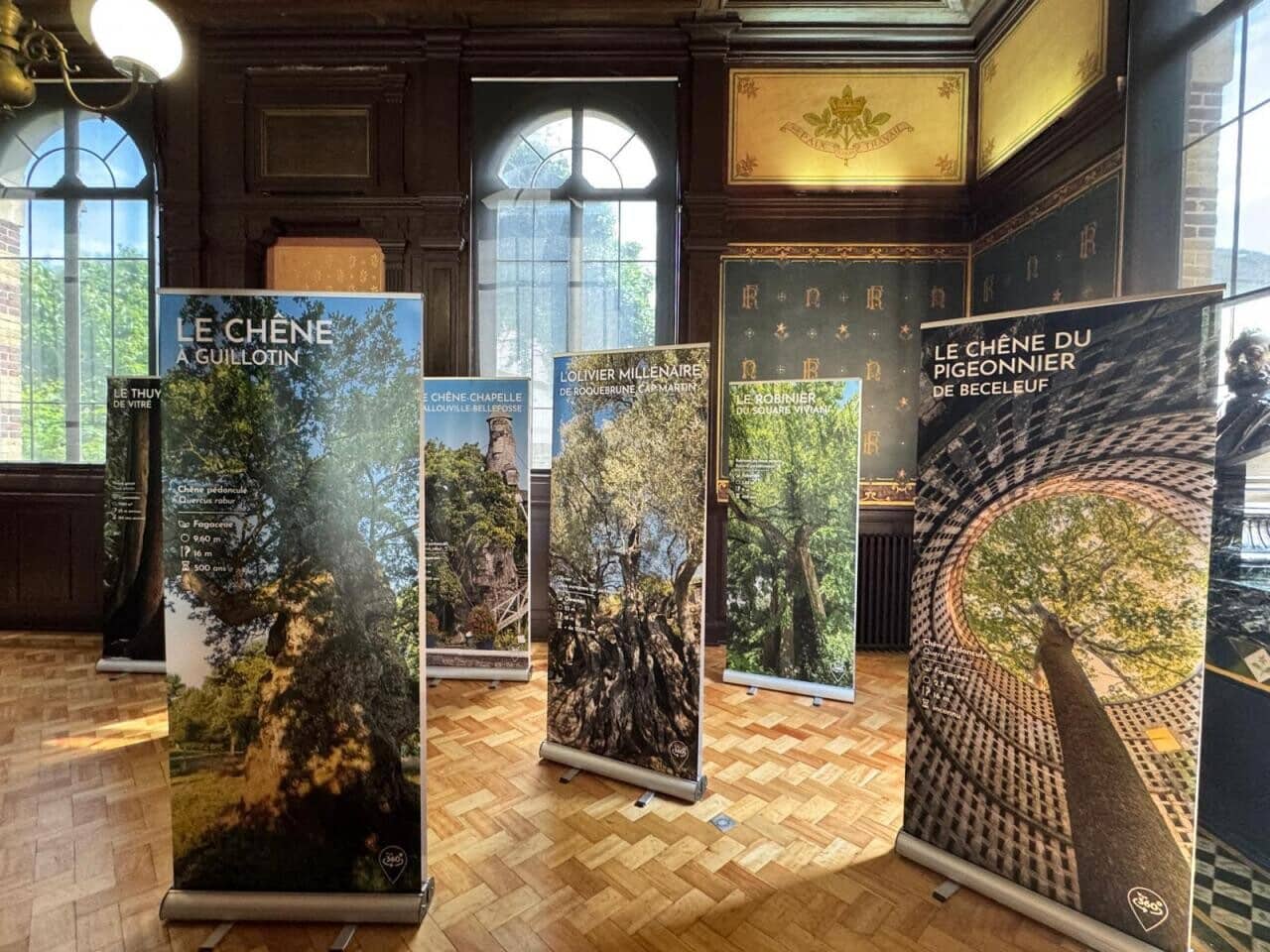 , En Seine-et-Marne, cette exposition vous invite à regarder les arbres autrement