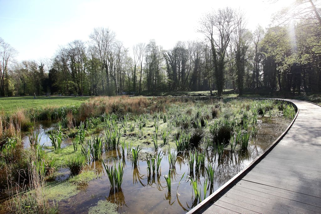 Bords de Marne : la rivière anglaise © Myriam Tisserand