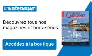, Carcassonne : m&eacute;content que la maquette de la Cit&eacute; r&eacute;alis&eacute;e par son grand-p&egrave;re ne soit pas suffisamment mise en valeur, il interpelle la mairie