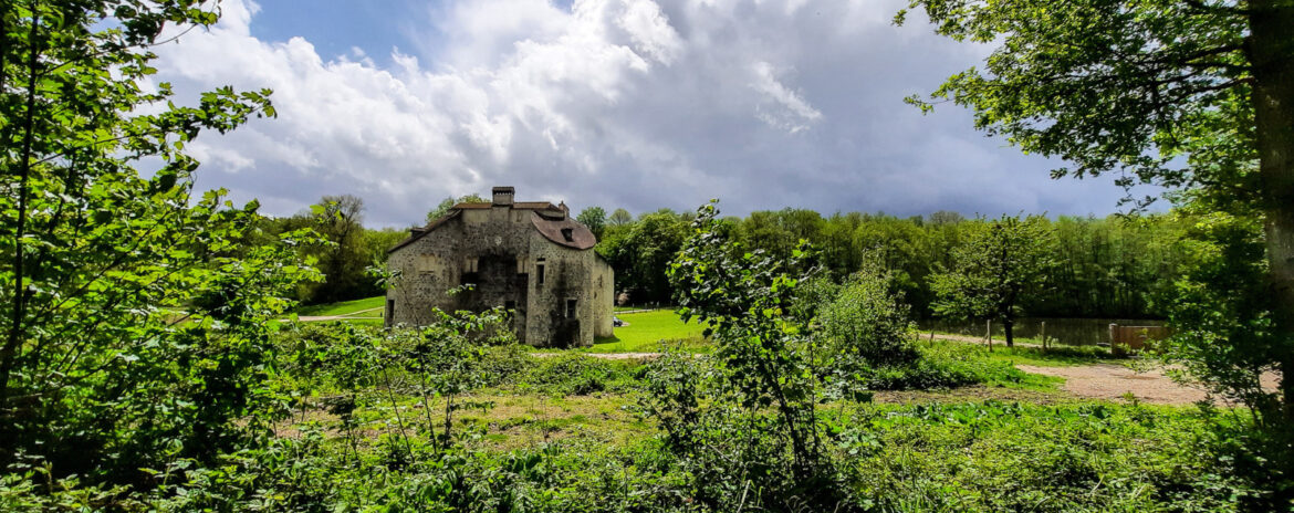 , Les Nuits des For&ecirc;ts 2024 en Essonne (91) : Le programme nature
