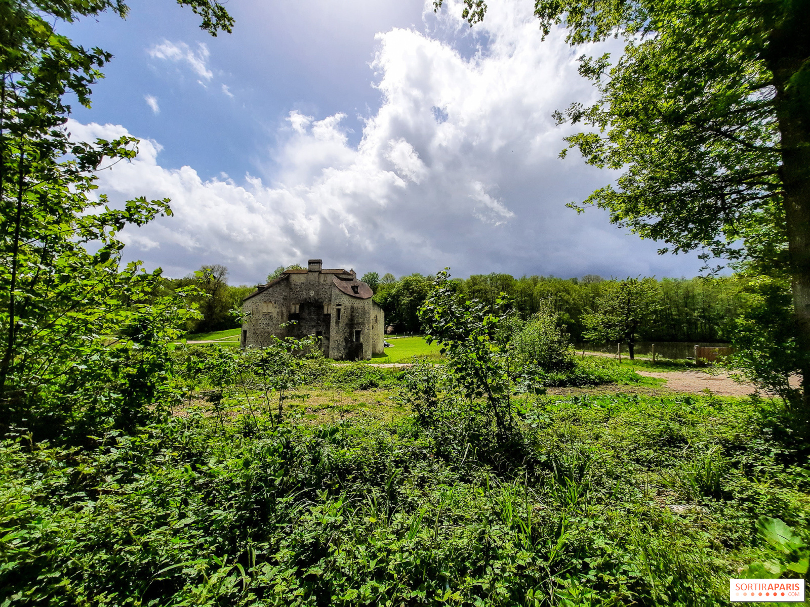 , Les Nuits des For&ecirc;ts 2024 en Essonne (91) : Le programme nature
