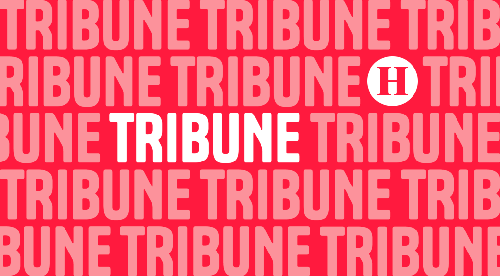 , LGBTI, soyons fier.e.s en votant pour les candidat·e·s du nouveau Front populaire