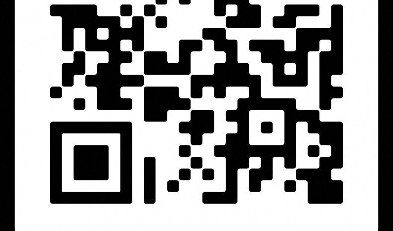 , Seine-et-Marne : participez au d&eacute;fil&eacute; des 80 ans de la Lib&eacute;ration &agrave; Fontainebleau