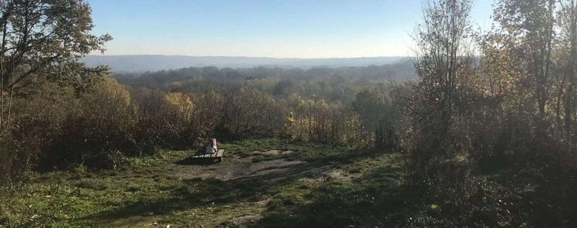 , Yvelines : 500.000 euros pour protéger la biodiversité dans les forêts de Saint-Germain et Marly