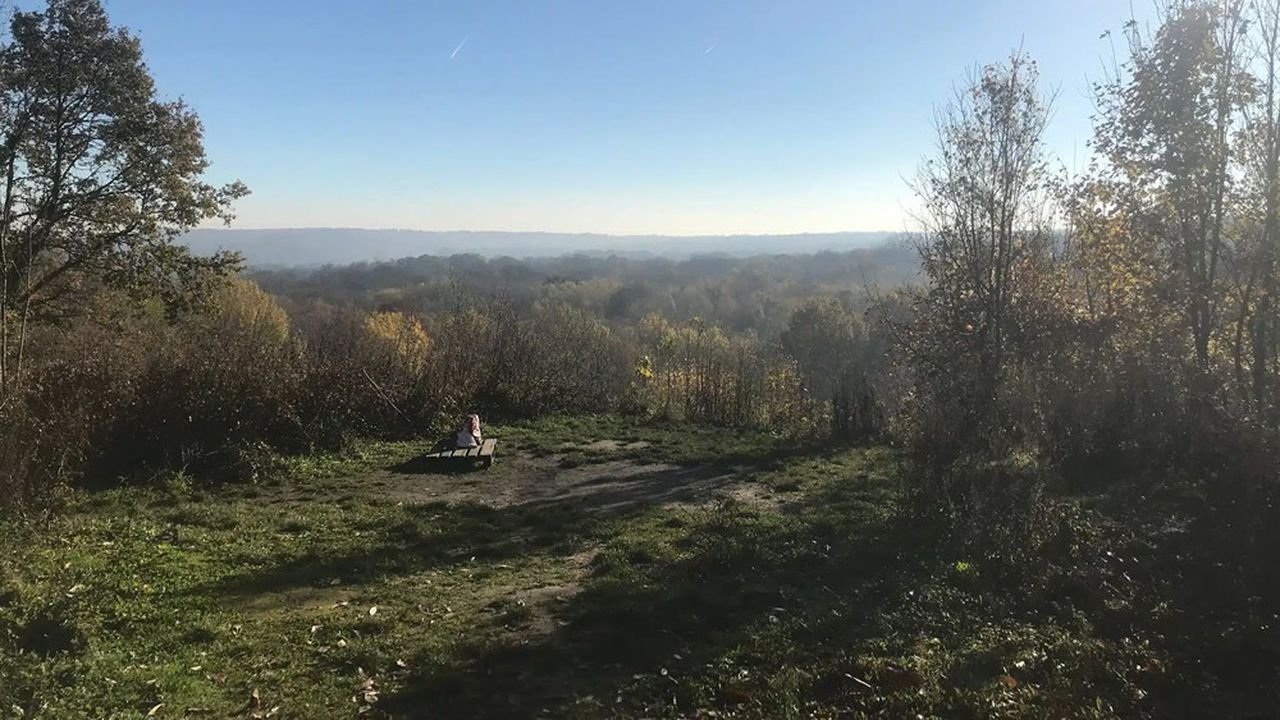 , Yvelines : 500.000 euros pour protéger la biodiversité dans les forêts de Saint-Germain et Marly