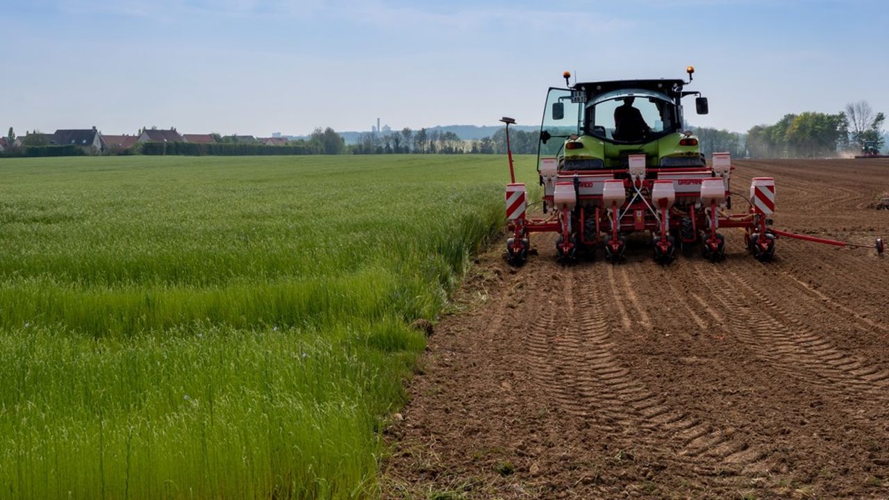 , Agriculture : le Val-d&rsquo;Oise face au d&eacute;clin des exploitations