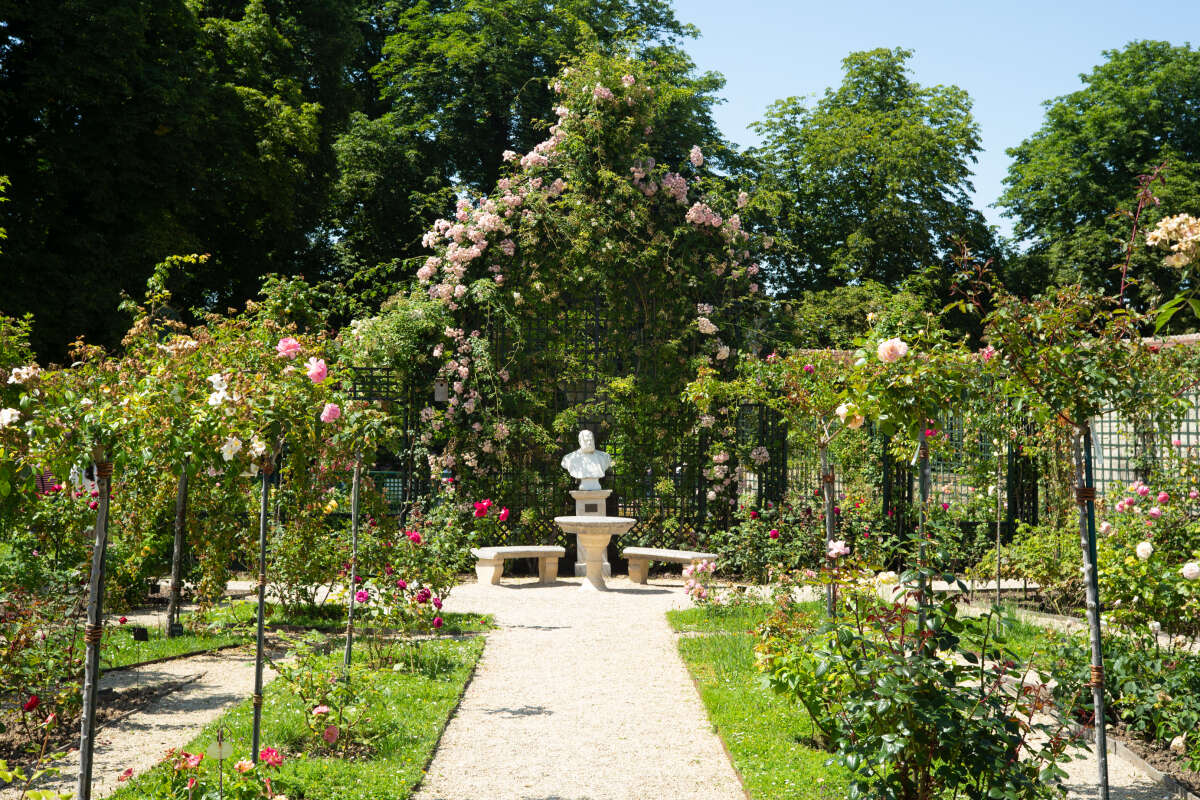 , Balade dans le Val-de-Marne, pour voir la vie en roses