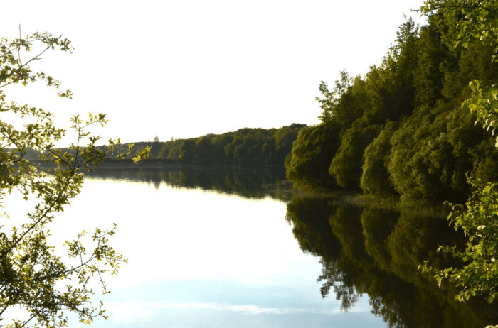 , Balade nature et histoire de la réserve au Pourras Chau. du Pont Royal, 78610 Le Perray-en-Yvelines le-perray-en-yvelines