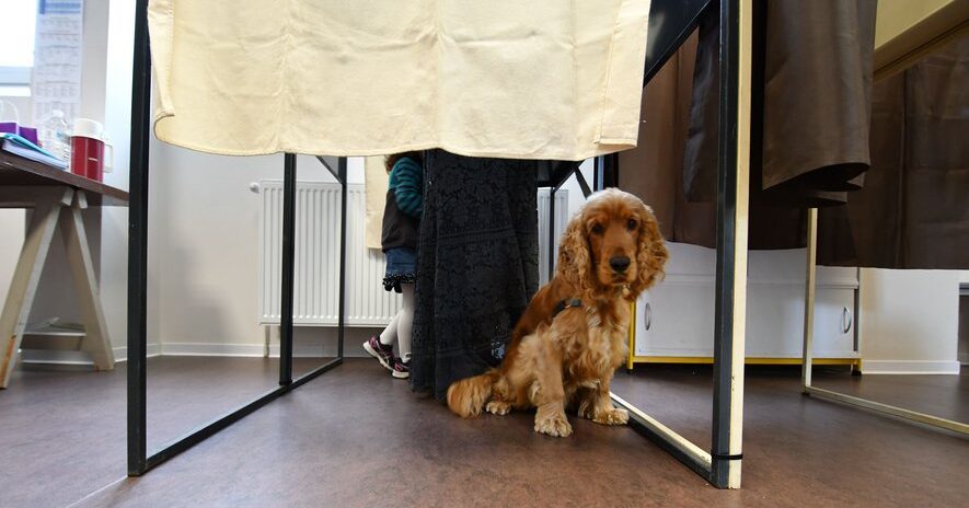 , CARTE. &Eacute;lections l&eacute;gislatives 2024 en Seine-et-Marne &ndash; 2e tour : quels r&eacute;sultats dans votre commune et votre circonscription