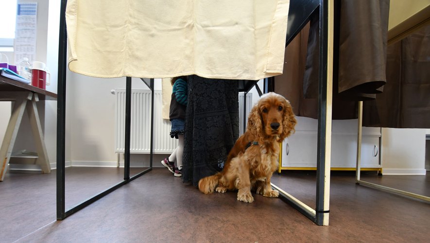 , CARTE. &Eacute;lections l&eacute;gislatives 2024 en Seine-et-Marne &ndash; 2e tour : quels r&eacute;sultats dans votre commune et votre circonscription