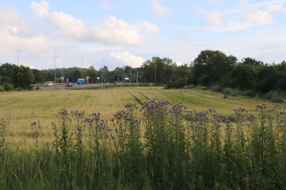 Les futures voies de la LNPN pourraient d&eacute;boucher d'un tunnel entre l'A13 et Villennes-sur-Seine dans ce champ.