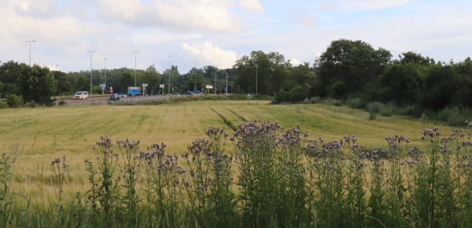 , Dans les Yvelines, cette ville d&eacute;ploie la premi&egrave;re banderole &laquo; Non &agrave; la Ligne Nouvelle Paris Normandie