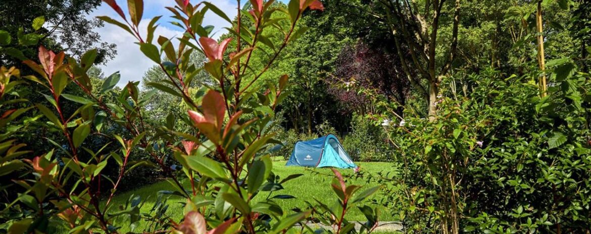 , En Seine-Saint-Denis aussi, les touristes se ruent sur les îles