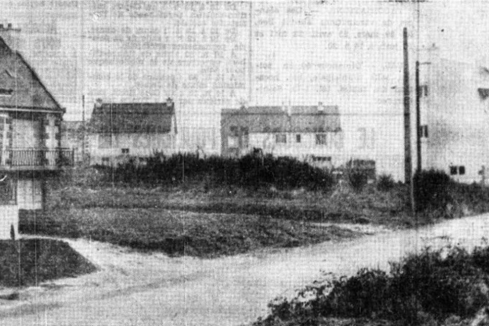 1969