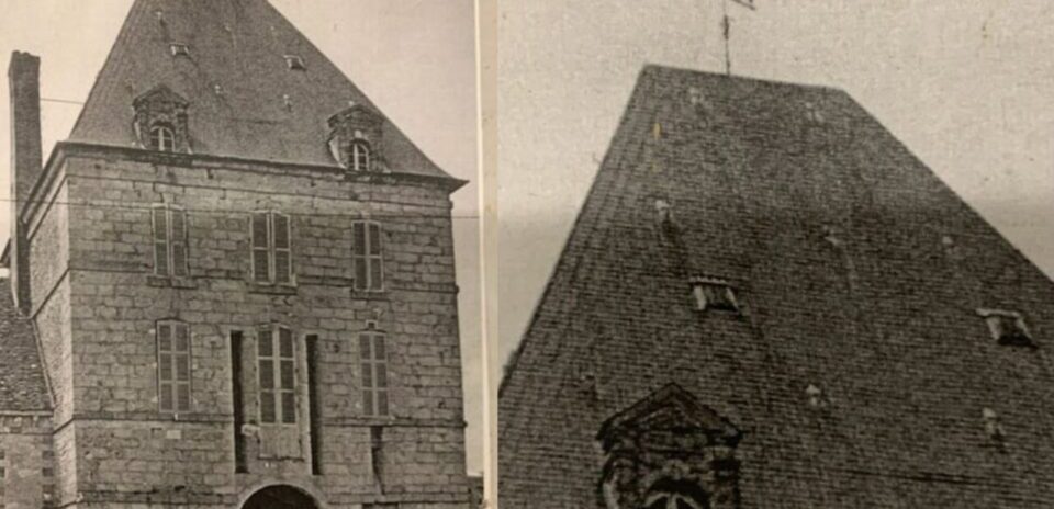 , Insolite : de l&rsquo;Afrique &agrave; la Seine-et-Marne, l&rsquo;incroyable histoire de Zarafa, la premi&egrave;re girafe de France