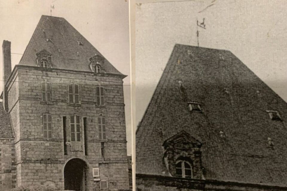 Girouette girafe Zarafa Chenoise 77