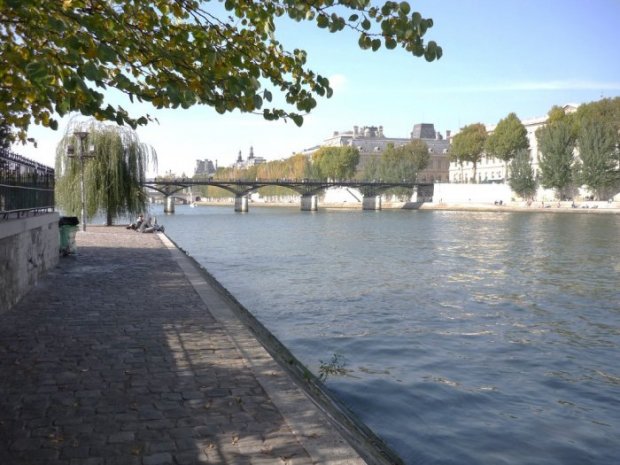 , J.O 2024 : Quid de la qualit&eacute; de l&rsquo;eau de la Seine…