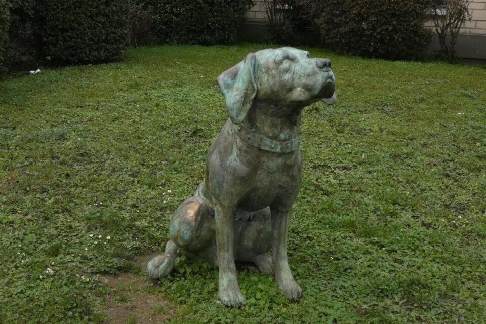 Mantes, une agglomération sous le signe de la zizanie Il y a eu de nombreuses disputes entre chiens de Mantes et loups de Limay. - P1030858