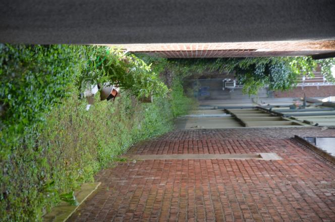 Fermée par des grilles et envahie par les herbes, la ruelle Gonthier.