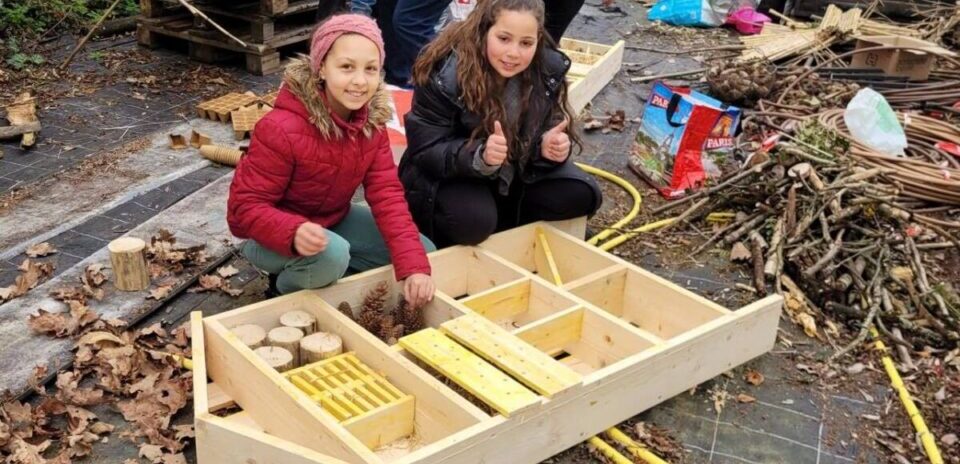 , Seine-et-Marne. Ces jeunes &eacute;lus ont multipli&eacute; les actions solidaires et &eacute;colos