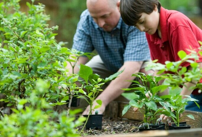 , Seine-et-Marne : pourquoi les jardins des pavillons int&eacute;ressent les &eacute;lus