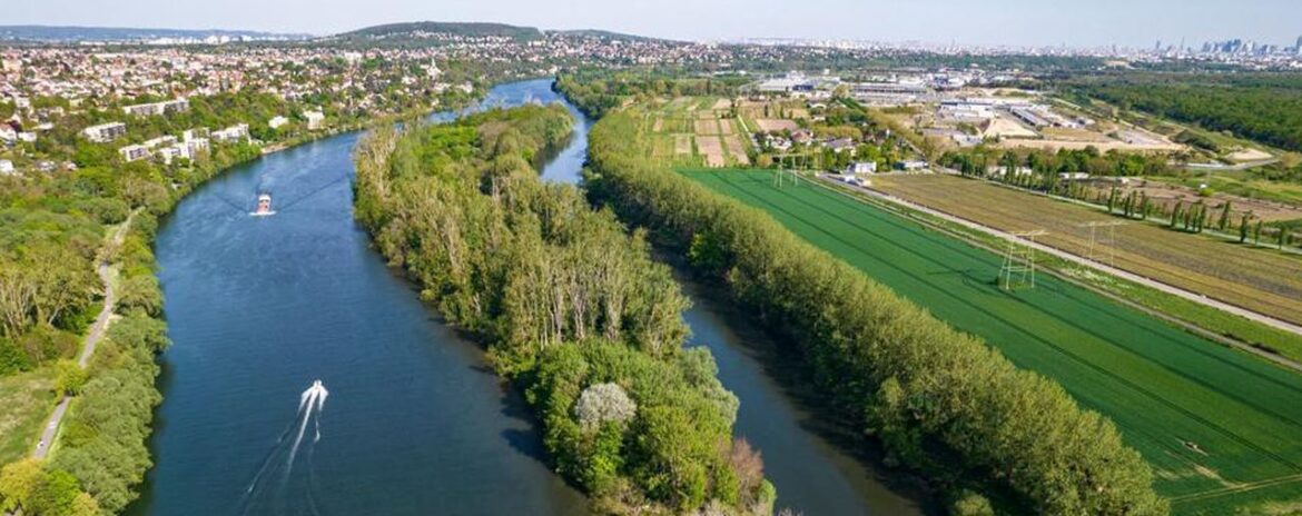, Val-d’Oise : le sanctuaire de la biodiversité d’Herblay contesté par les écologistes