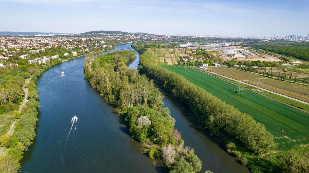 , Val-d’Oise : le sanctuaire de la biodiversité d’Herblay contesté par les écologistes