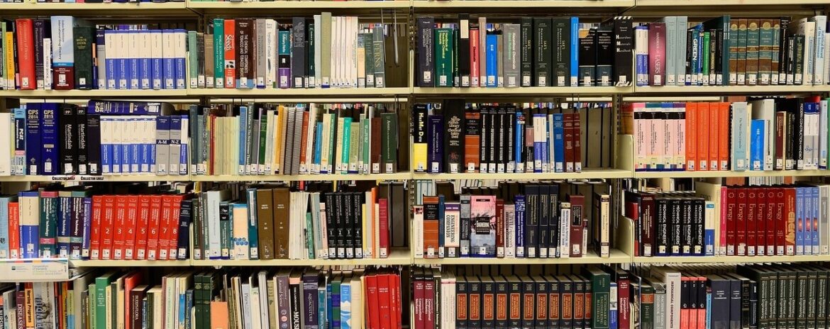 , Avis aux amateurs de livres : cette commune de Val-de-Marne instaure la gratuit&eacute; dans ses biblioth&egrave;ques