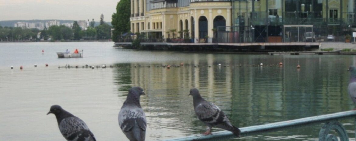 , Cette ville du Val-d&rsquo;Oise donne la parole aux habitants pour am&eacute;nager le c&oelig;ur de ville