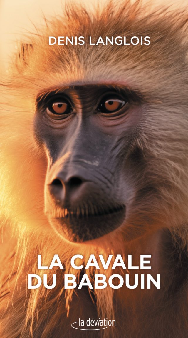 MONNERVILLEcavaledubabouin , En 1995, un babouin a cavalé en Essonne, le saviez-vous