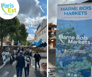 , Transitions urbaines en Val-de-Marne #34 : un nouveau projet immobilier face au ch&ecirc;ne quadricentenaire, g&eacute;othermie, &eacute;nergie solaire