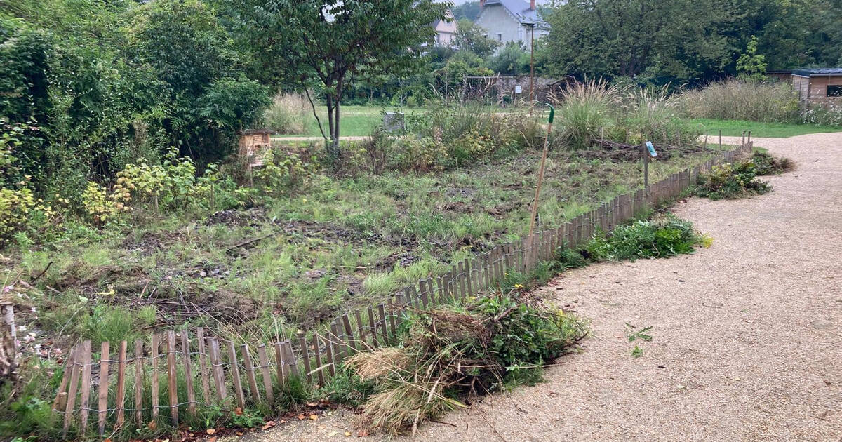 , Abandon d&rsquo;un projet d&rsquo;autoroute dans le Val-d&rsquo;Oise : &laquo;Le travail du collectif et des &eacute;lus a port&eacute; ses fruits&raquo;