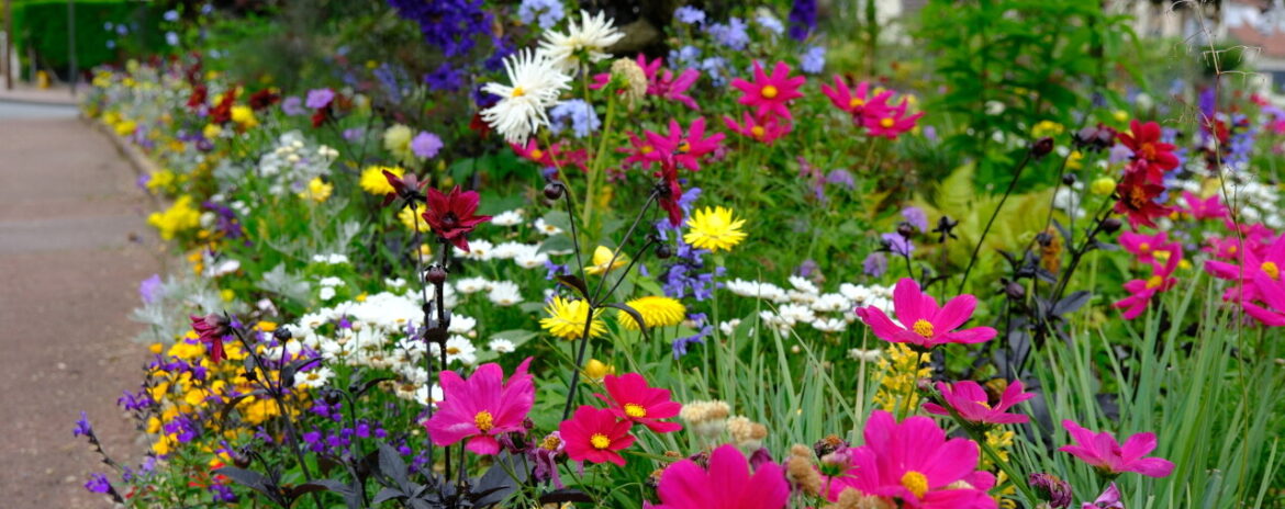 , Cette ville des Yvelines est si bien fleurie qu&rsquo;elle est r&eacute;compens&eacute;e en or ! La seule en &Icirc;le-de-France