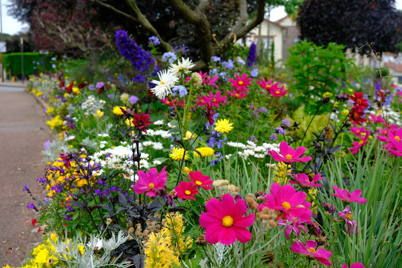 , Cette ville des Yvelines est si bien fleurie qu&rsquo;elle est r&eacute;compens&eacute;e en or ! La seule en &Icirc;le-de-France