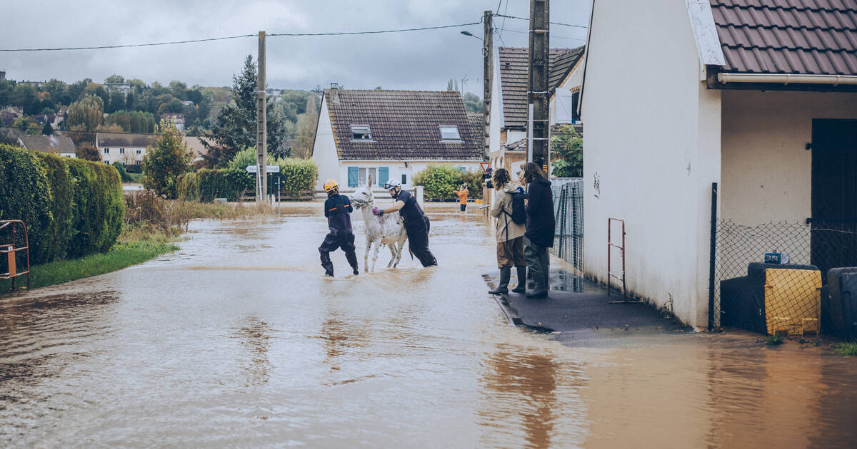 , Dépression Kirk : la Seine-et-Marne et l’Eure-et-Loir encore en vigilance rouge samedi en raison des crues