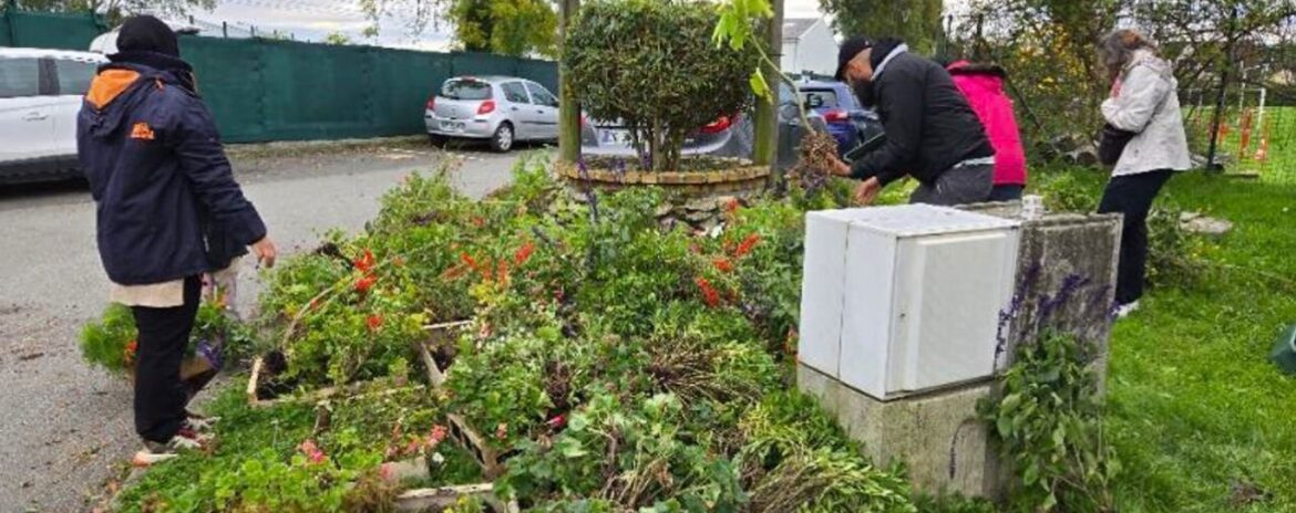 , Pour ne pas jeter ses plantes, cette commune de Seine-et-Marne les donne aux habitants