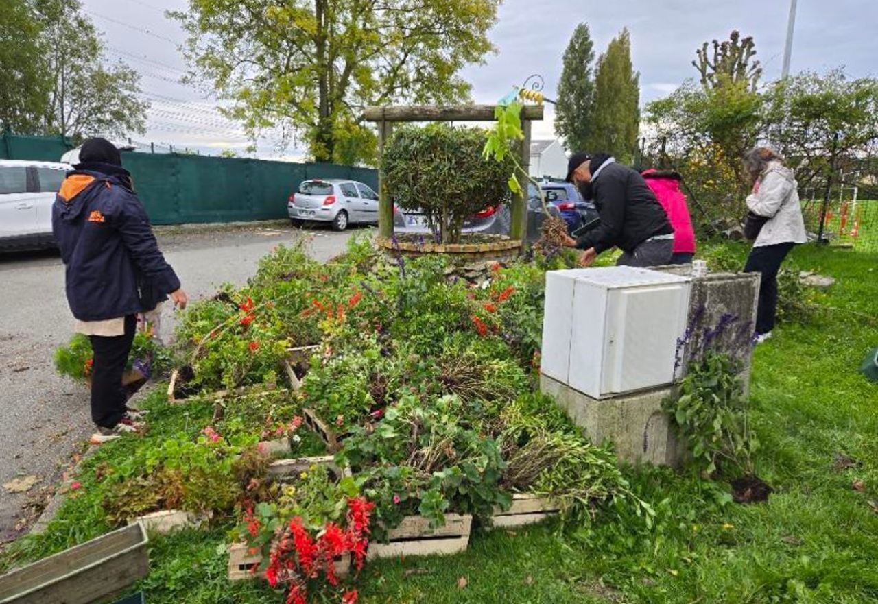 , Pour ne pas jeter ses plantes, cette commune de Seine-et-Marne les donne aux habitants