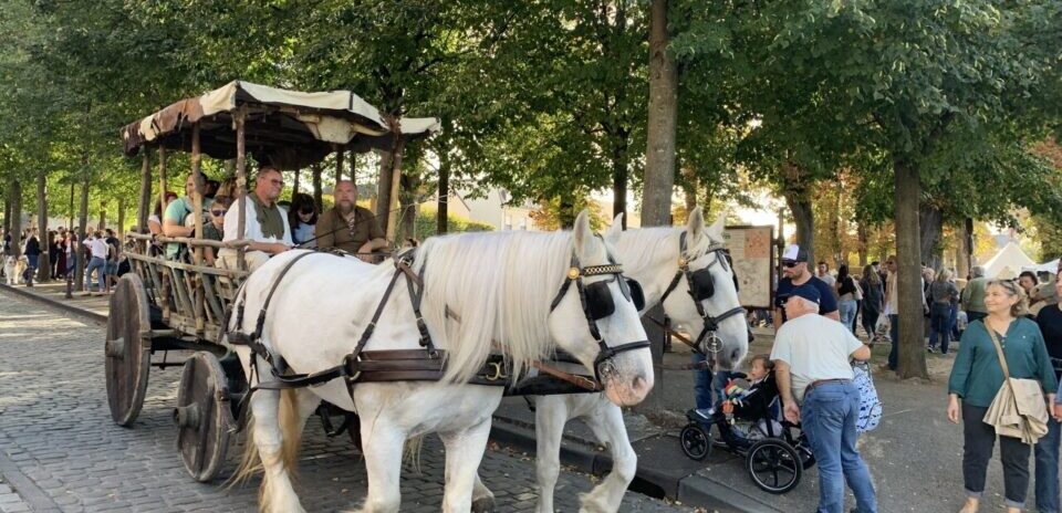 , Seine-et-Marne : la M&eacute;di&eacute;vale de Brie-Comte-Robert f&ecirc;te ses 25 ans les 5 et 6 octobre