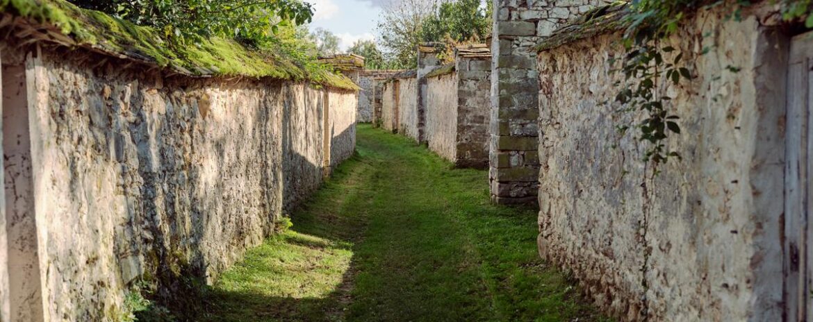 , Thomery, le charmant village de Seine-et-Marne qui fut autrefois la capitale du chasselas