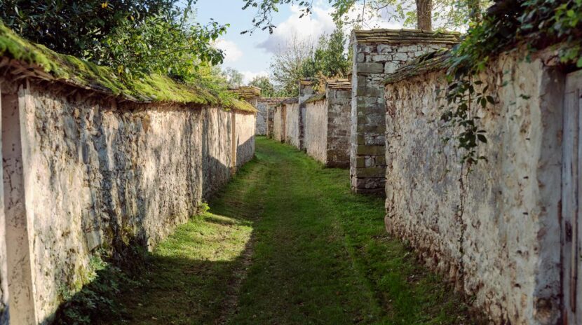 , Thomery, le charmant village de Seine-et-Marne qui fut autrefois la capitale du chasselas