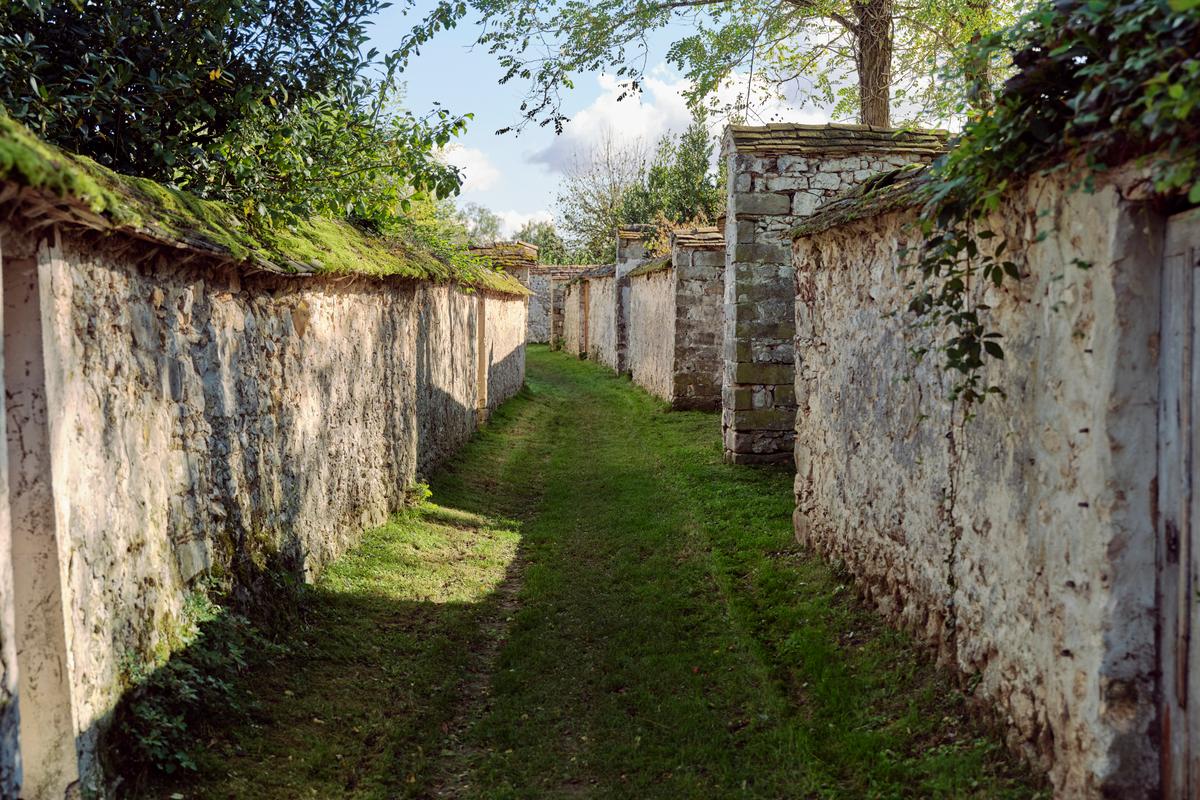 , Thomery, le charmant village de Seine-et-Marne qui fut autrefois la capitale du chasselas