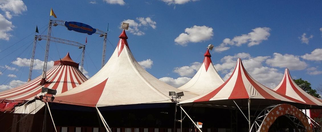 , Val-d&rsquo;Oise : Une association r&eacute;clame le d&eacute;part d&rsquo;un cirque et de ses animaux