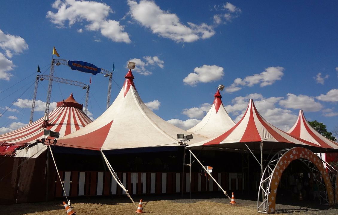, Val-d&rsquo;Oise : Une association r&eacute;clame le d&eacute;part d&rsquo;un cirque et de ses animaux