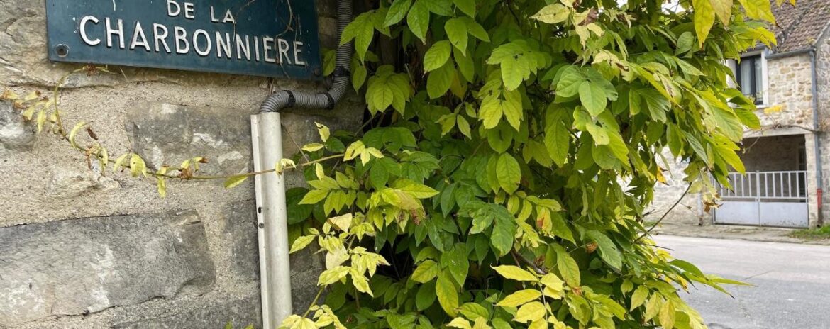 , Pierre Palmade : une longue histoire d&rsquo;amour avec la Seine-et-Marne, terre de tous ses exc&egrave;s