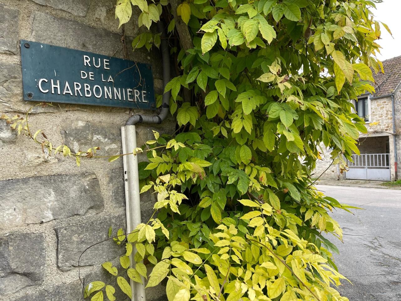, Pierre Palmade : une longue histoire d&rsquo;amour avec la Seine-et-Marne, terre de tous ses exc&egrave;s